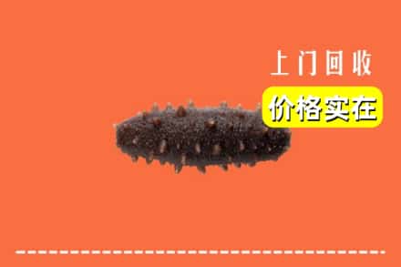 泸州市古蔺回收海参