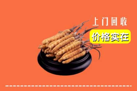 诚信求购:泸州市古蔺高价回收冬虫夏草